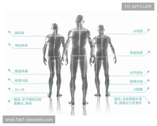 足球球星腿型的多样性与差异性分析及其对运动表现的影响 足球球星腿型的多样性与差异性分析及其对运动表现的影响